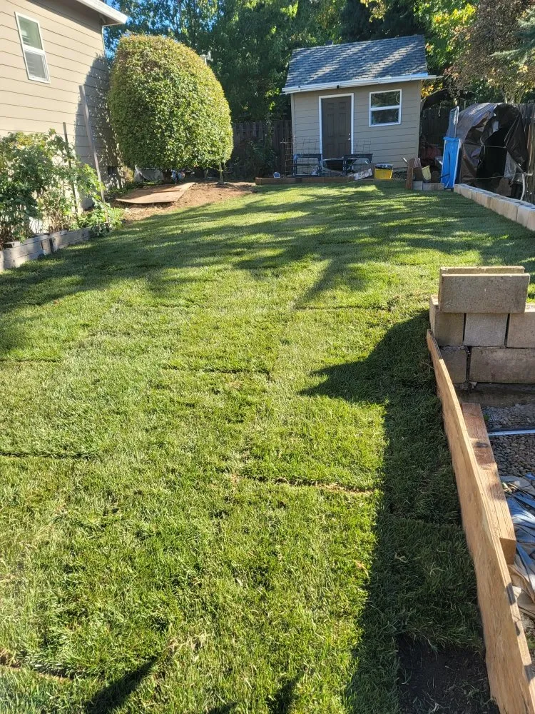 Custom yard maintenance in Portland, OR - Mannny's Property Maintenance