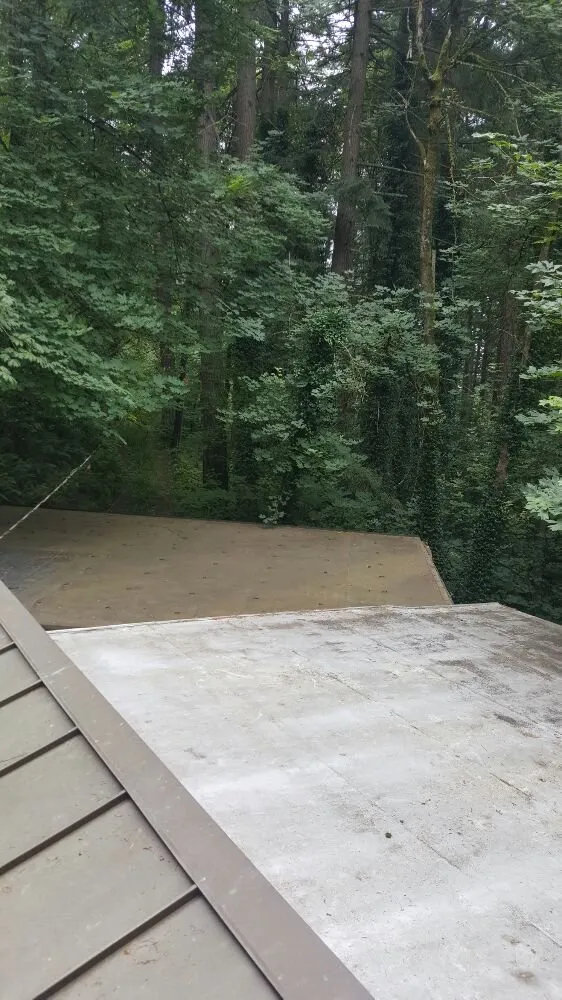 Custom lawn care service in Portland, OR by Mannny's Property Maintenance