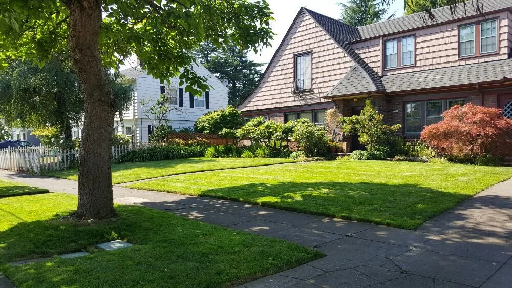 Trusted lawn care service in Portland, OR by Mannny's Property Maintenance