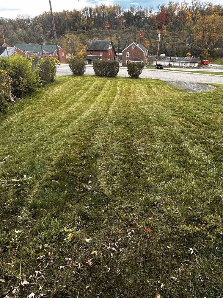 Expert lawn care service experts serving Duquesne, PA - Manns Lawncare