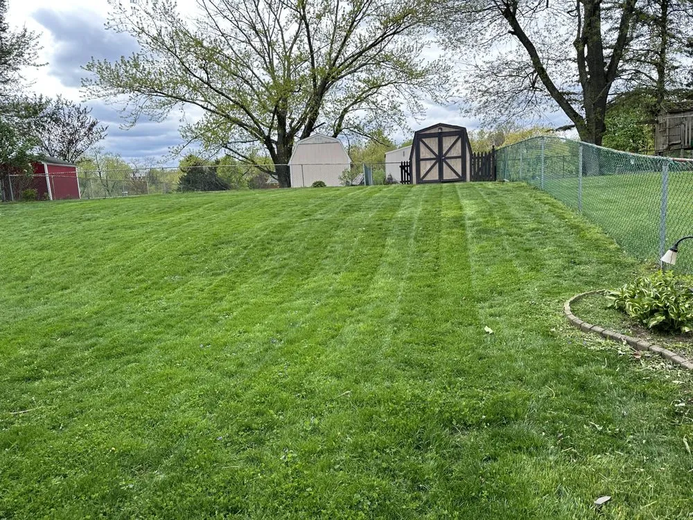 Local yard cleanup service for residential properties across Duquesne, PA - Manns Lawncare