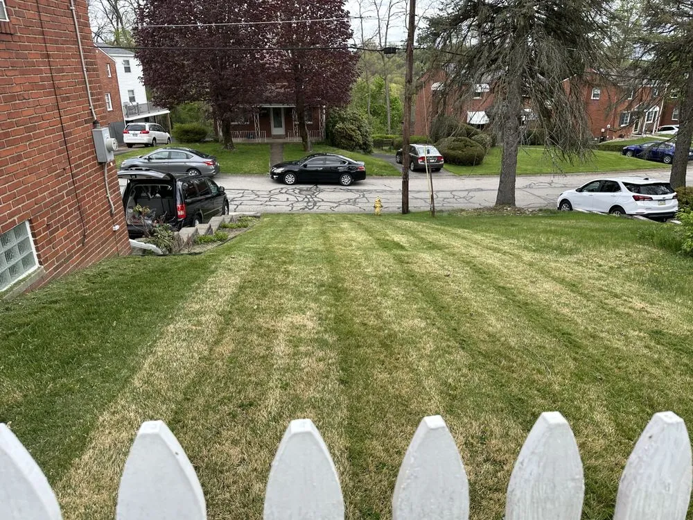Reliable lawn care service in Duquesne, PA - Manns Lawncare