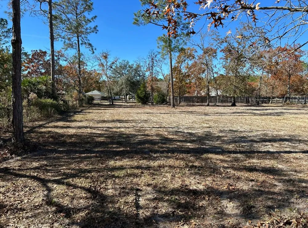 Affordable yard cleanup service in Bryceville, FL by Manns Light Tractor Services