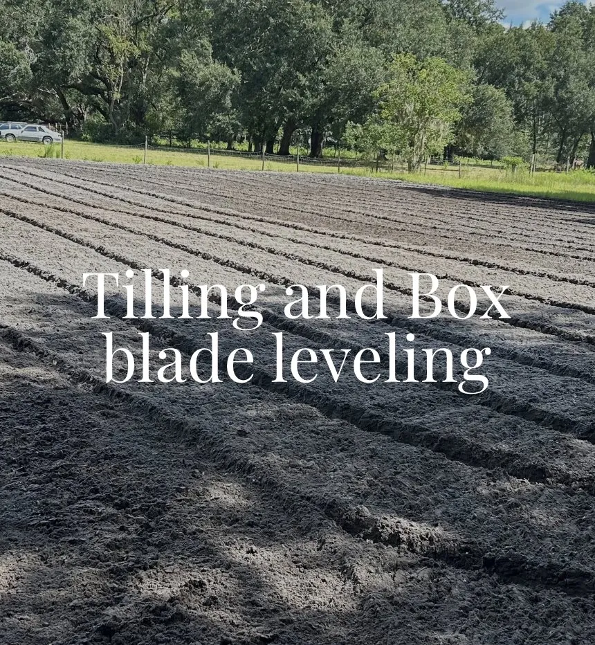 Affordable outdoor landscaping for year-round maintenance across Bryceville, FL - Manns Light Tractor Services