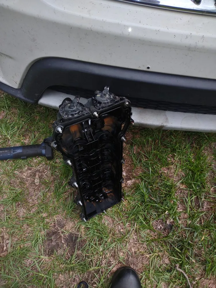 Top-rated yard cleanup service experts serving Saint Matthews, SC - Manny Can Mobile