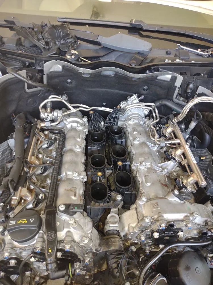 Top-rated residential landscaping in Saint Matthews, SC by Manny Can Mobile