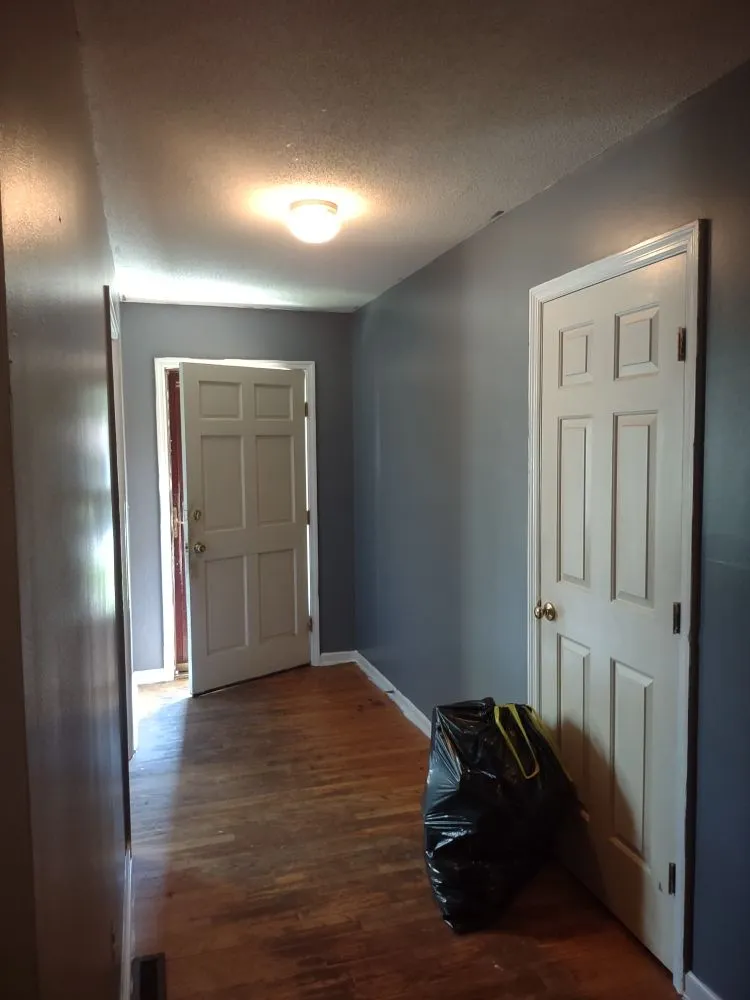 Top-rated yard cleanup service in Saint Matthews, SC - Manny Can Mobile