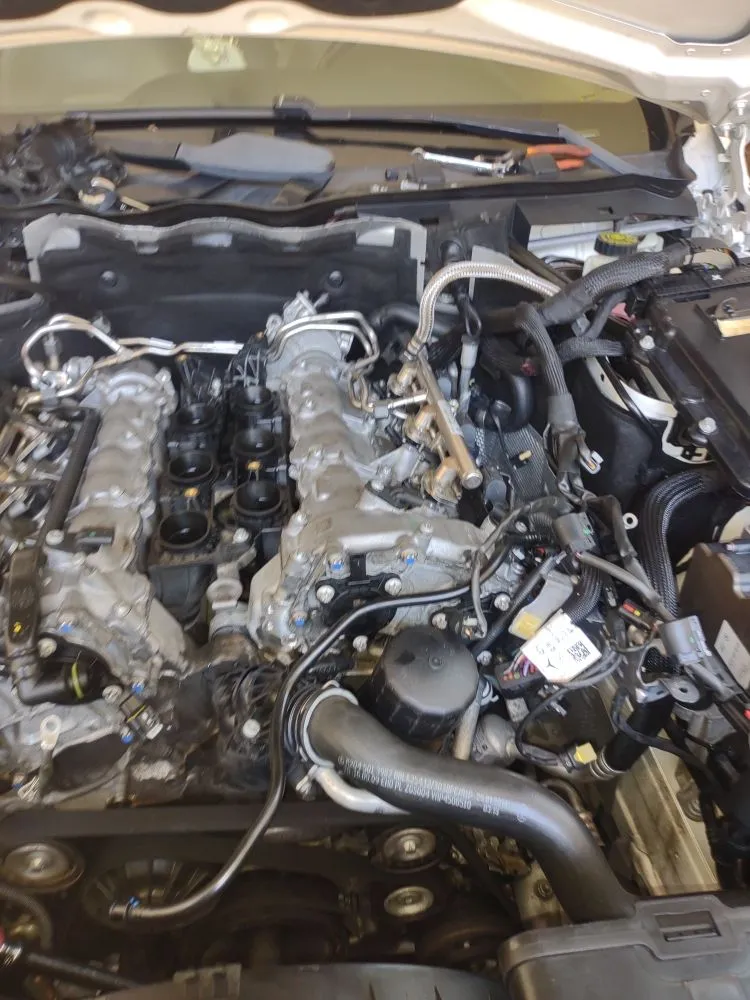 Custom yard cleanup service with custom design in Saint Matthews, SC by Manny Can Mobile