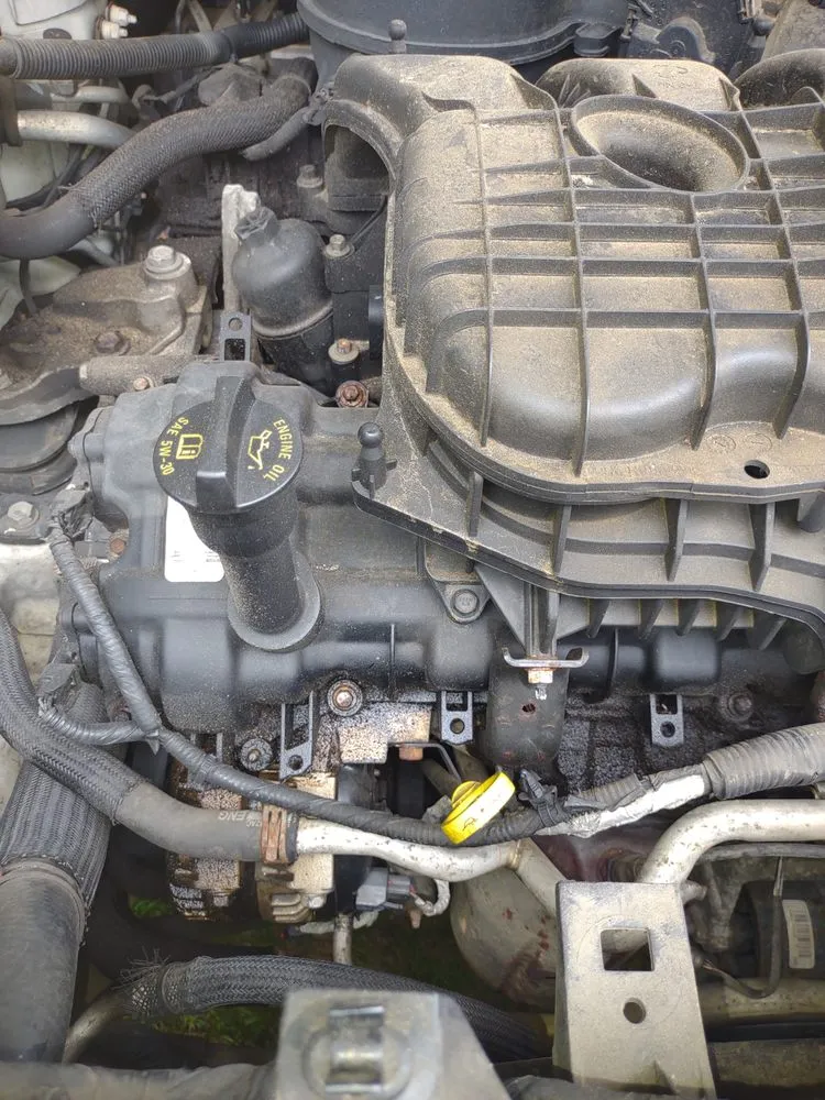 Reliable landscaping services for beautiful yards in Saint Matthews, SC by Manny Can Mobile