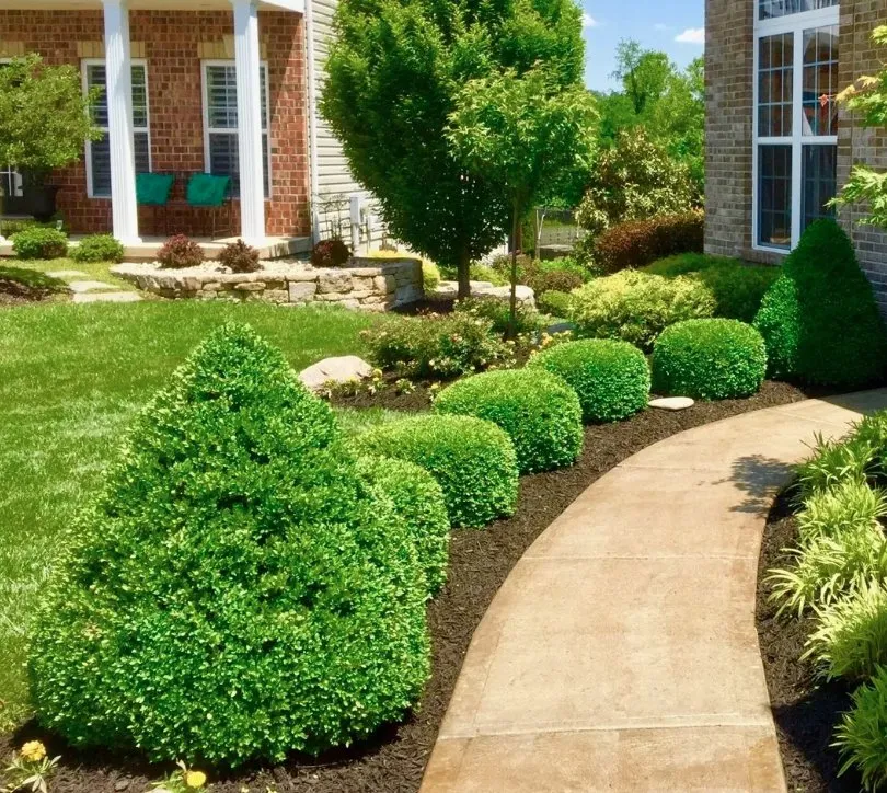 Local yard maintenance in Aurora, IL by Manny Landscaping