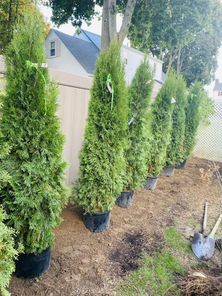 Affordable residential landscaping near you across Worcester, MA - Manny Landscaping