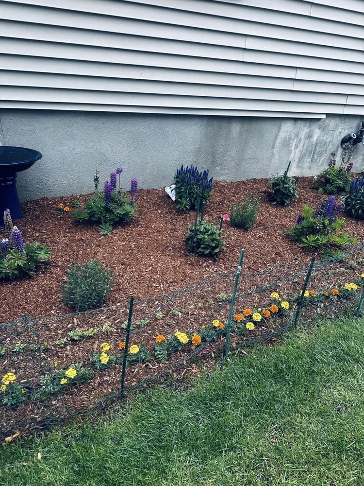 Affordable landscape design for beautiful yards across Worcester, MA - Manny Landscaping
