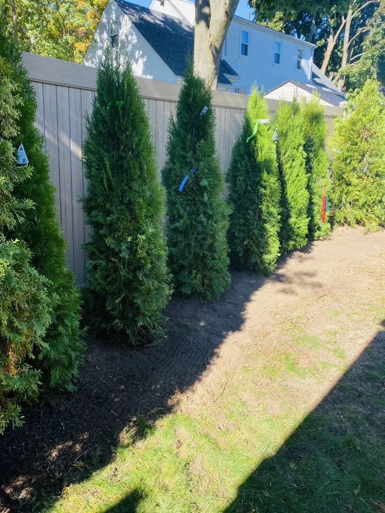 Affordable yard maintenance experts serving Worcester, MA - Manny Landscaping