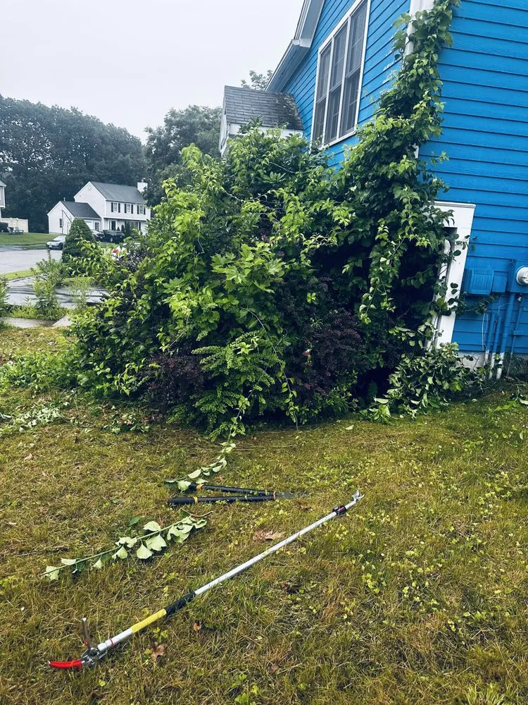 Expert lawn mowing service with custom design in Worcester, MA by Manny Landscaping