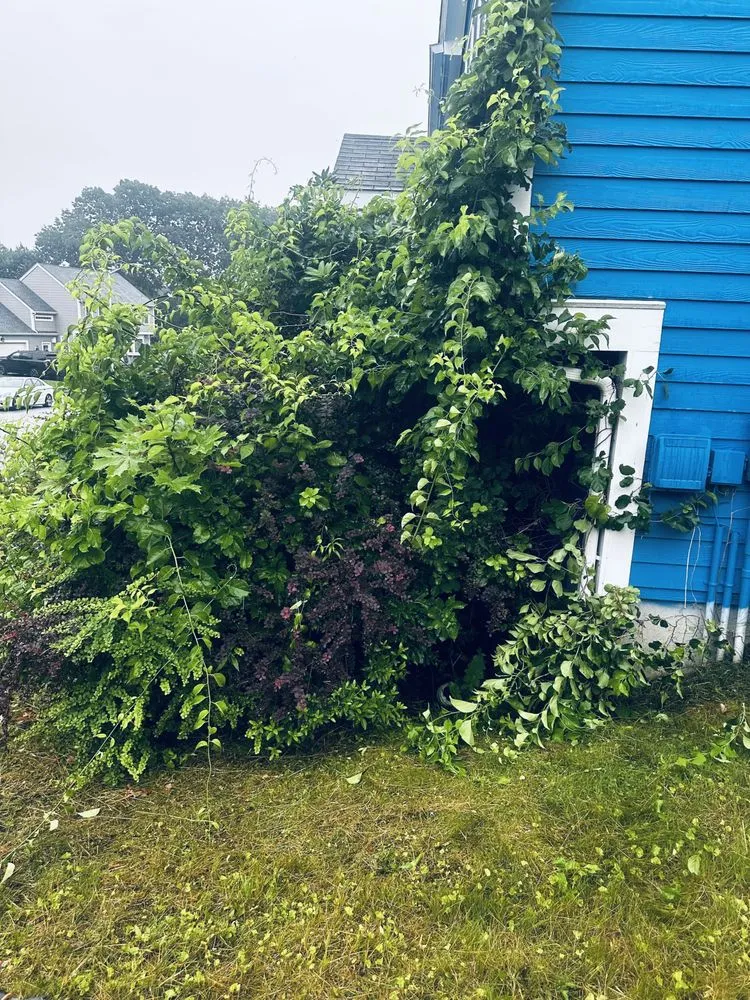 Reliable yard maintenance in Worcester, MA by Manny Landscaping