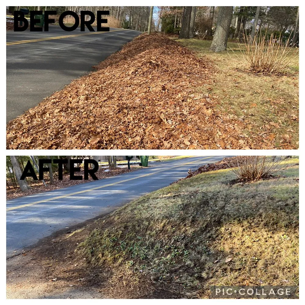 Affordable residential landscaping experts serving Waterbury, CT - Manny the Handyman