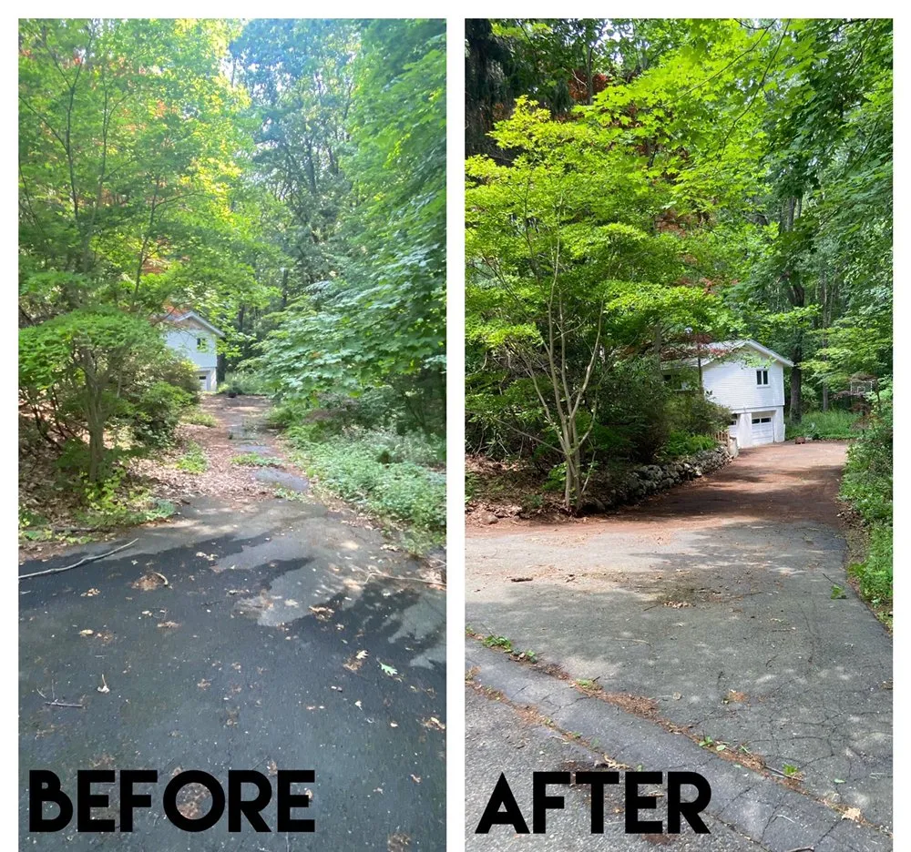 Top-rated residential landscaping for beautiful yards across Waterbury, CT - Manny the Handyman