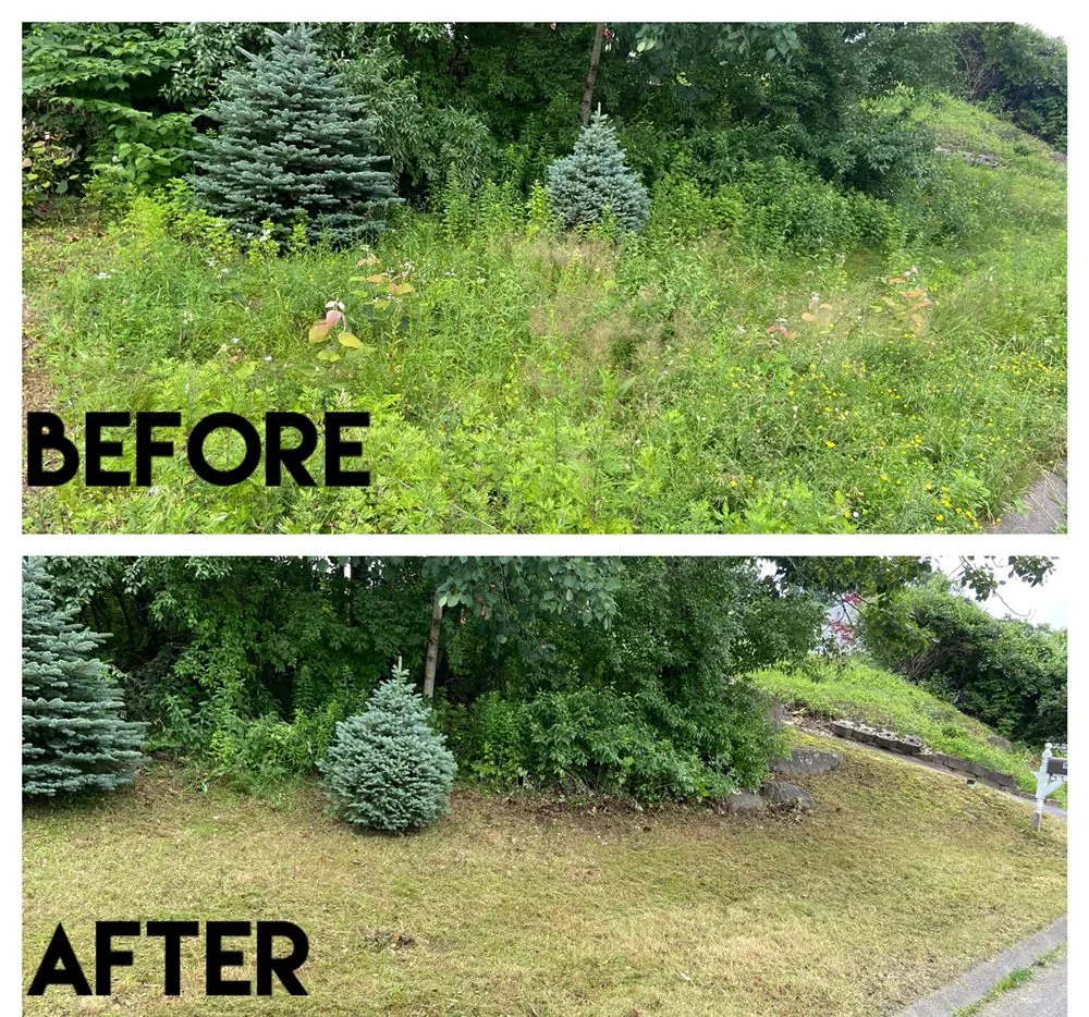 Professional landscape installation in Waterbury, CT by Manny the Handyman