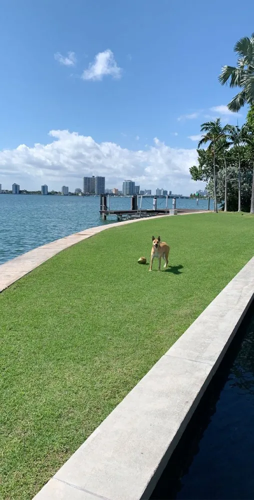 Expert garden landscaping experts serving Miami Beach, FL - Manny The Plant Guy