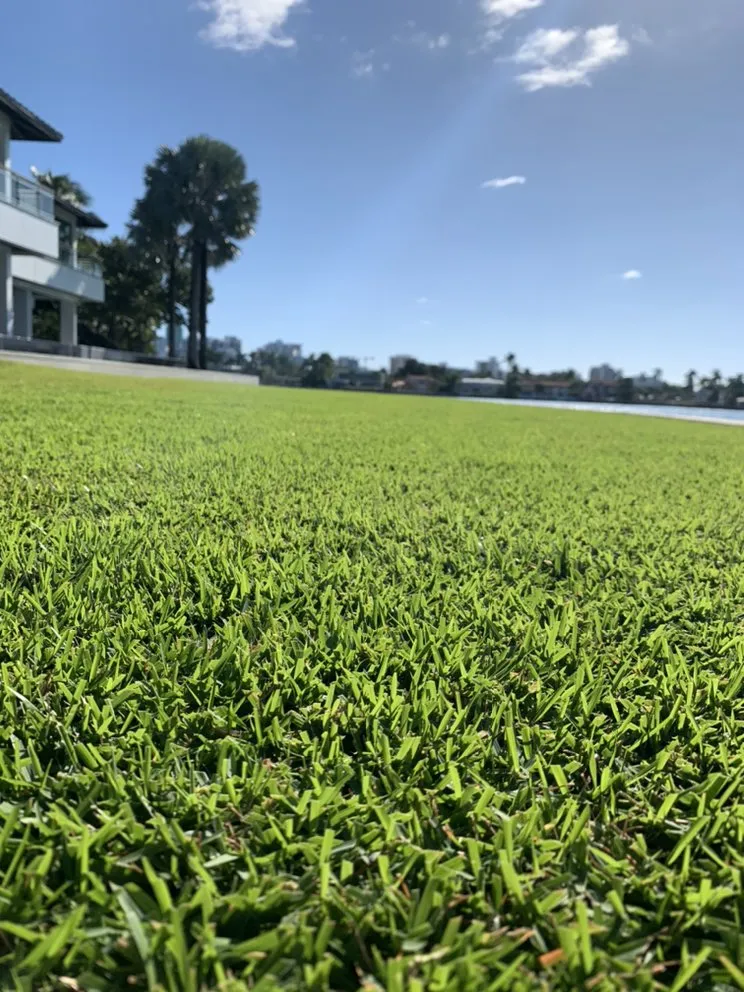 Reliable lawn care service in Miami Beach, FL by Manny The Plant Guy