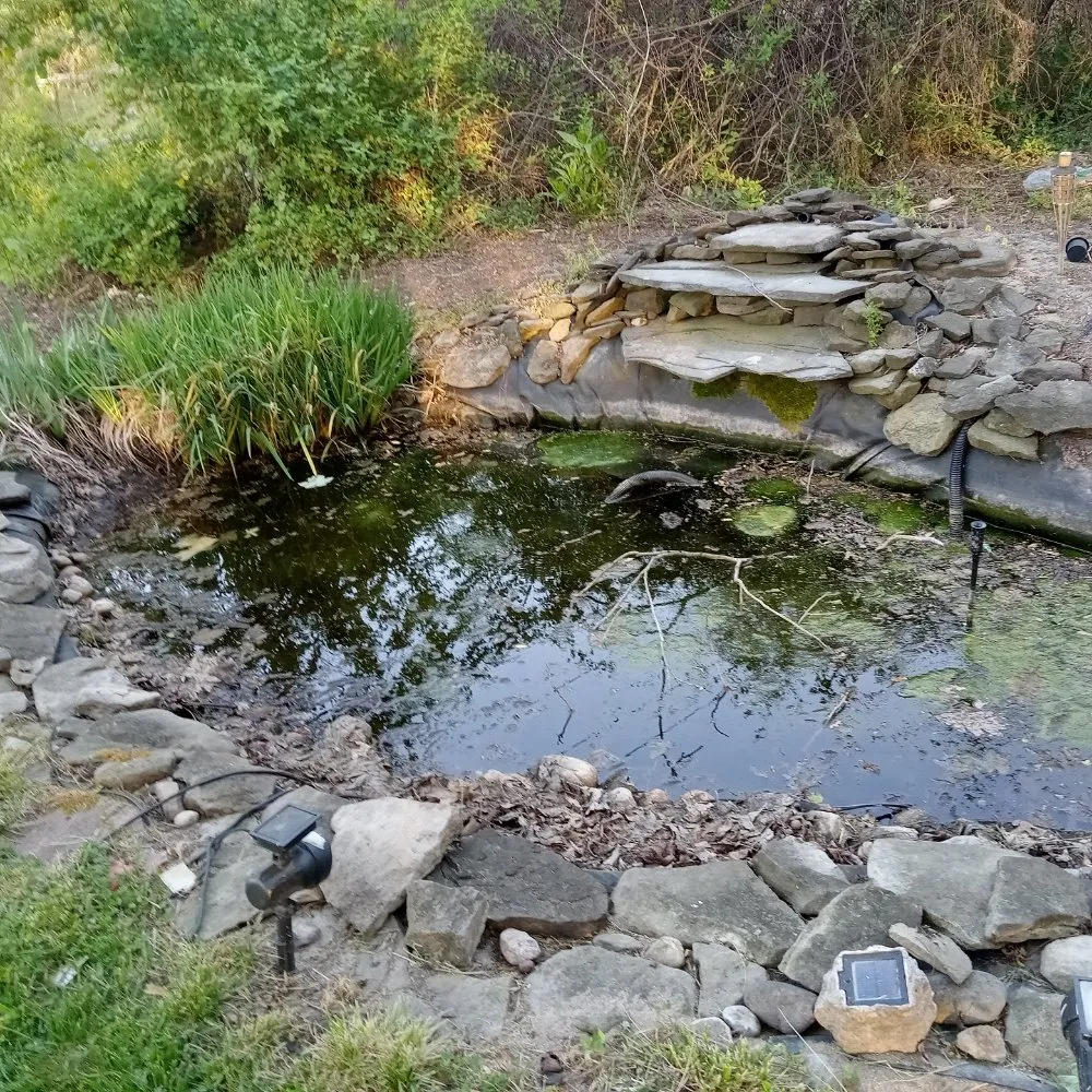 Trusted landscaping services for outdoor upgrades across Delmar, MD - Mannymoe Landscapin