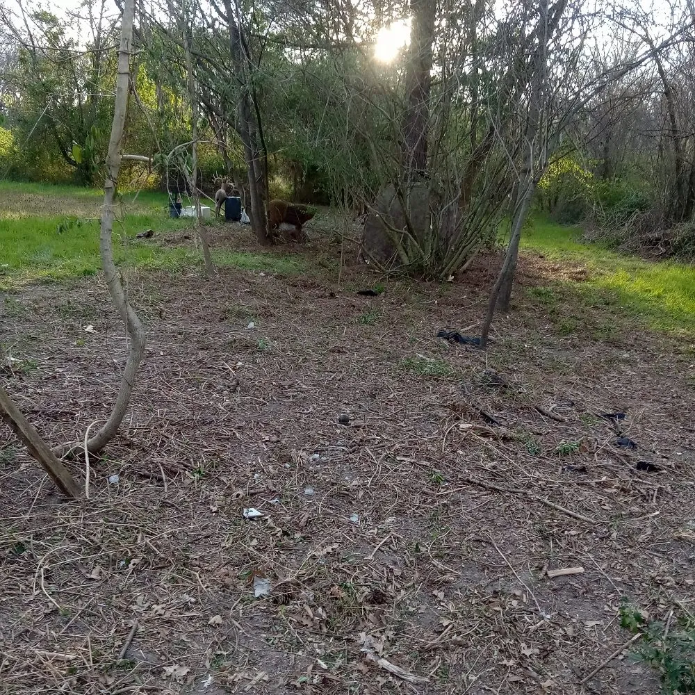 Affordable lawn mowing service for outdoor upgrades across Delmar, MD - Mannymoe Landscapin