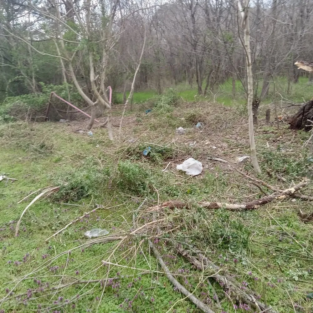 Reliable lawn mowing service in Delmar, MD by Mannymoe Landscapin