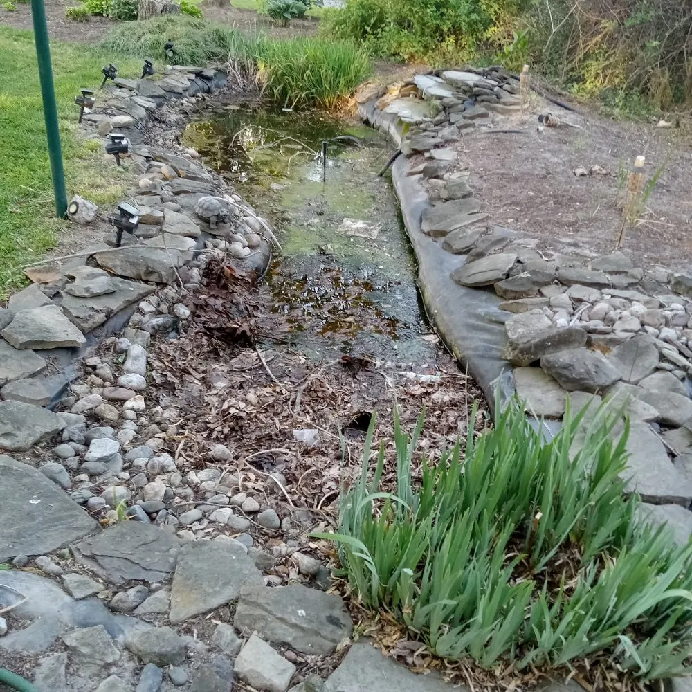 Custom outdoor landscaping for year-round maintenance in Delmar, MD by Mannymoe Landscapin