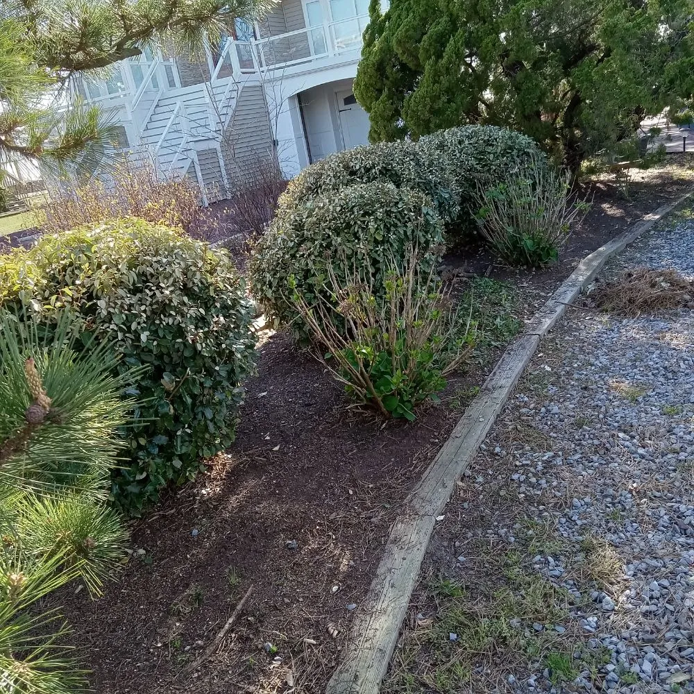 Trusted outdoor landscaping in Delmar, MD - Mannymoe Landscapin