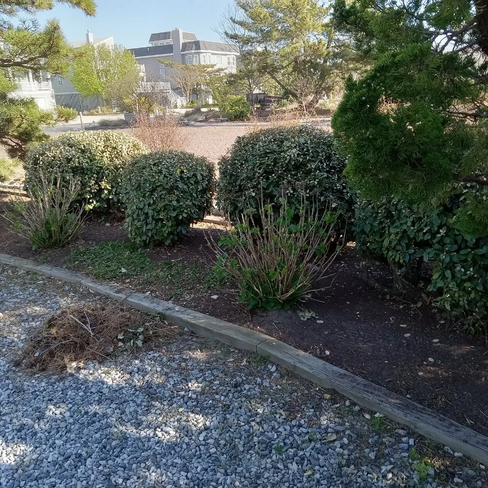 Affordable lawn care service in Delmar, MD - Mannymoe Landscapin