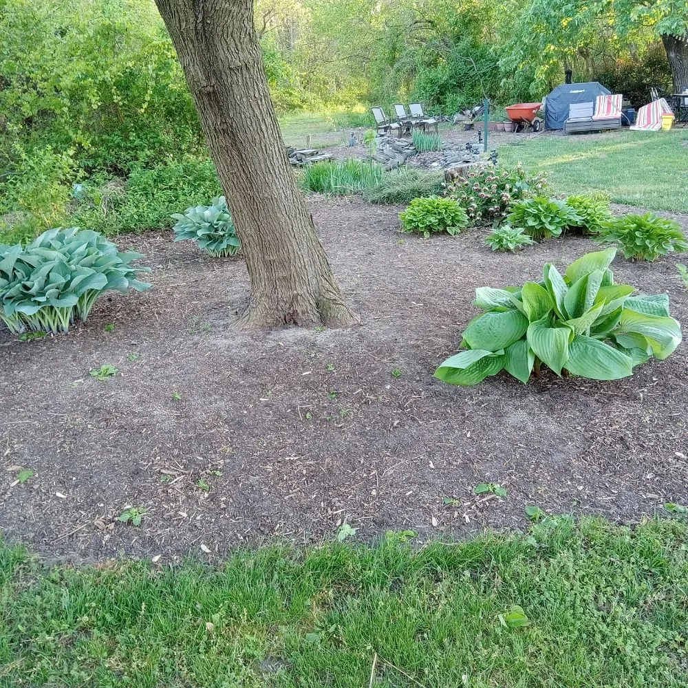 Reliable yard cleanup service experts serving Delmar, MD - Mannymoe Landscapin