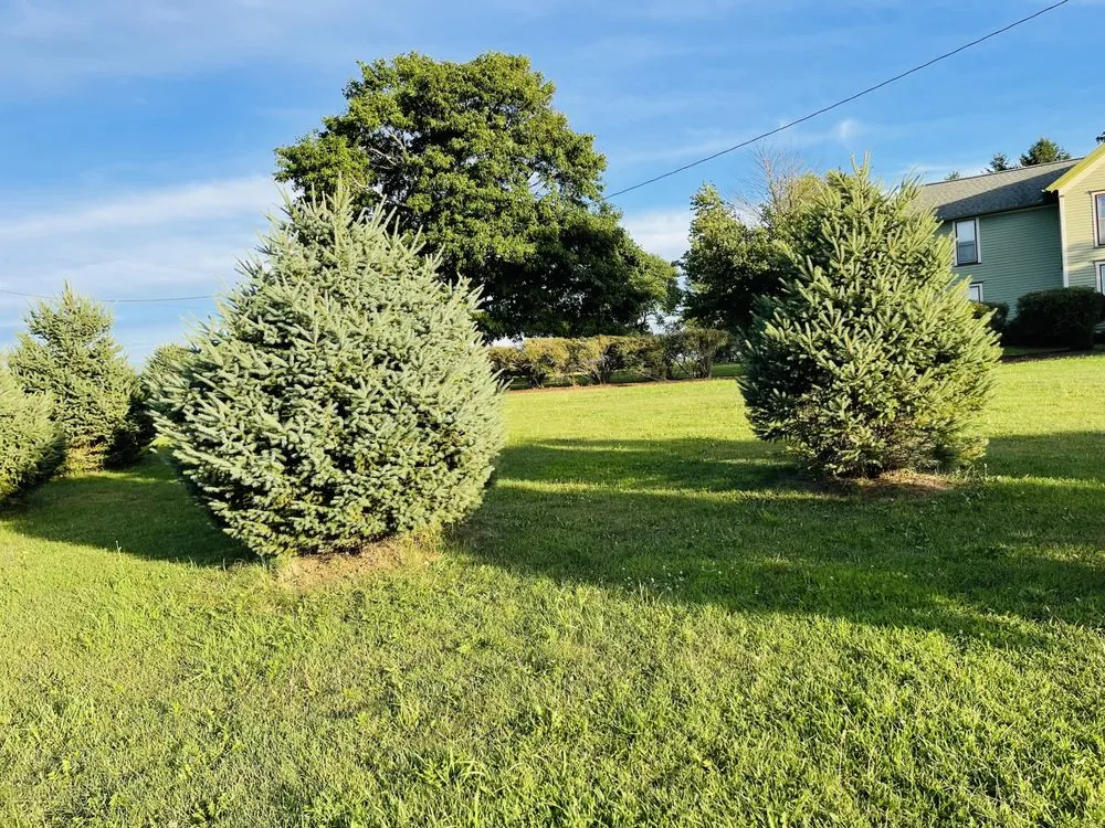 Trusted outdoor landscaping with custom design in Mahomet, IL by Manny’s Cleaning,Lawn Care & Snow Removal Services