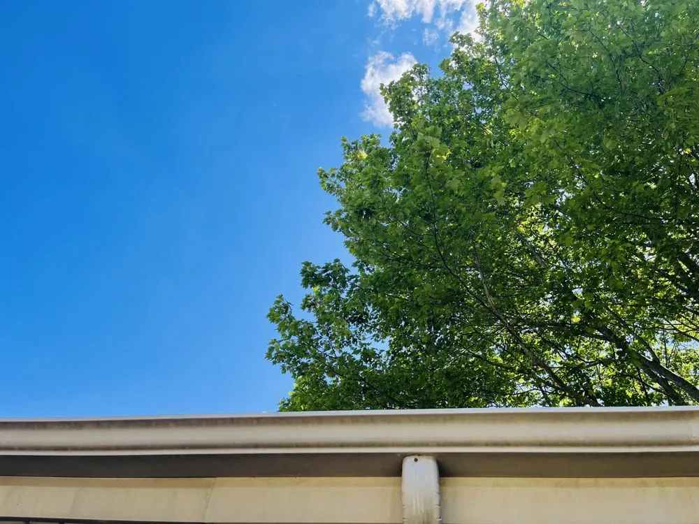 Custom residential landscaping experts serving Mahomet, IL - Manny’s Cleaning,Lawn Care & Snow Removal Services