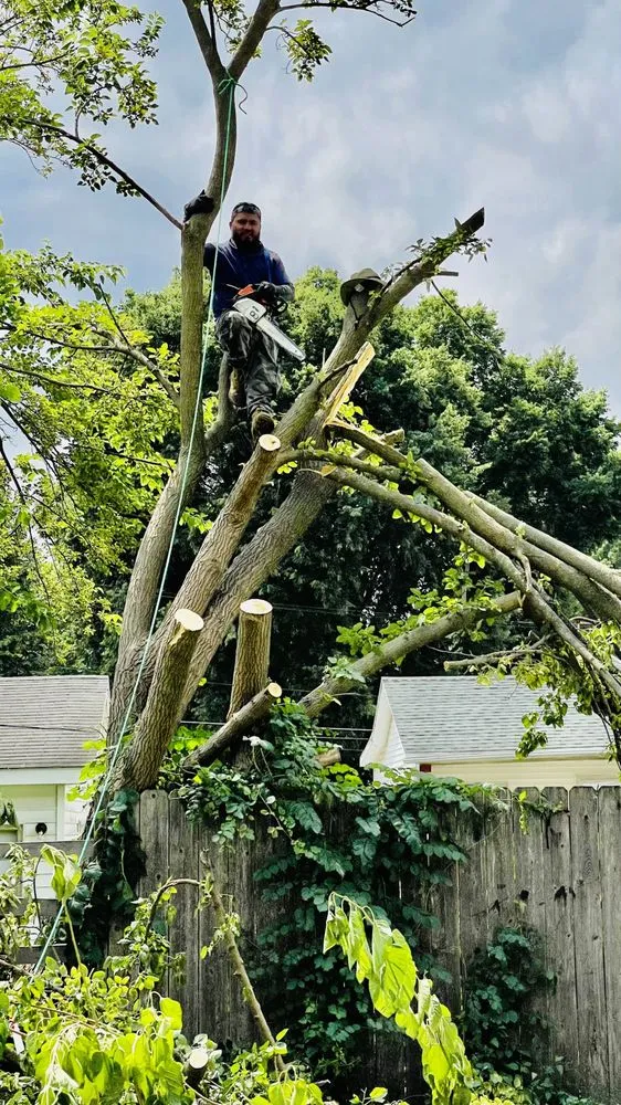 Professional yard cleanup service in Mahomet, IL by Manny’s Cleaning,Lawn Care & Snow Removal Services