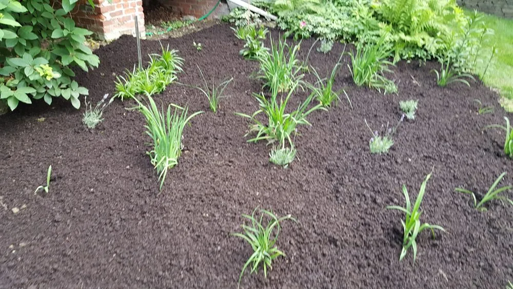 Top-rated yard cleanup service experts serving Poughkeepsie, NY - Manny's Gardening & Landscaping