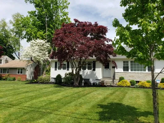 Manny's Gardening & Landscaping