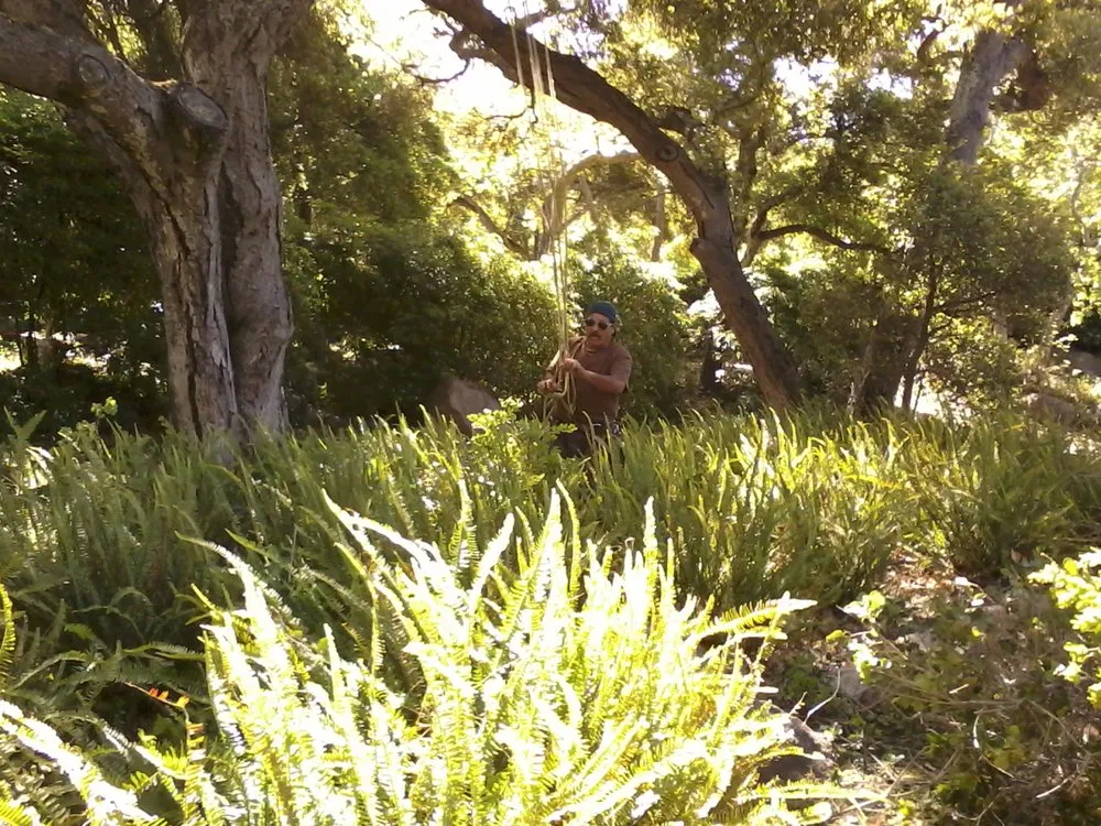 Affordable lawn mowing service for year-round maintenance across Carpinteria, CA - Manny's Gardening Pruning & Tree Care