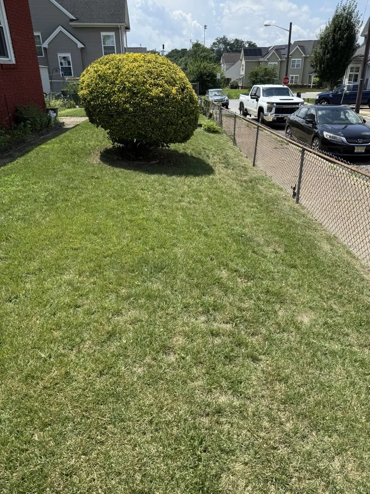 Trusted yard cleanup service in Camden, NJ by Mannys Landscape and Lawn Care