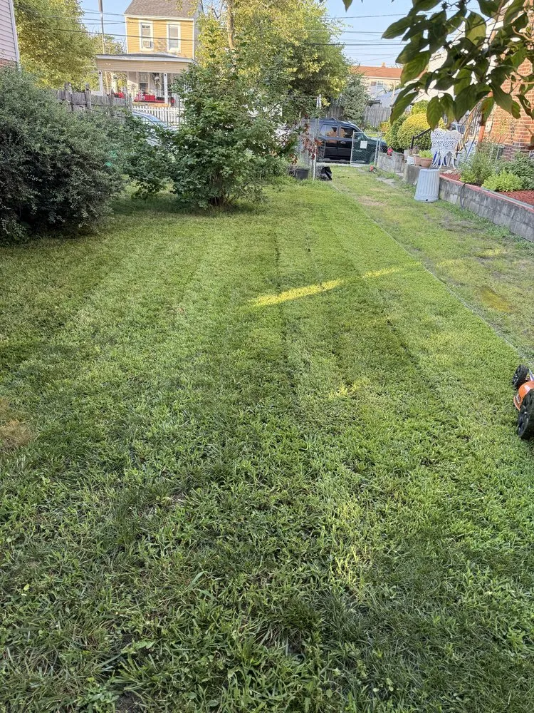 Top-rated landscape installation in Camden, NJ by Mannys Landscape and Lawn Care