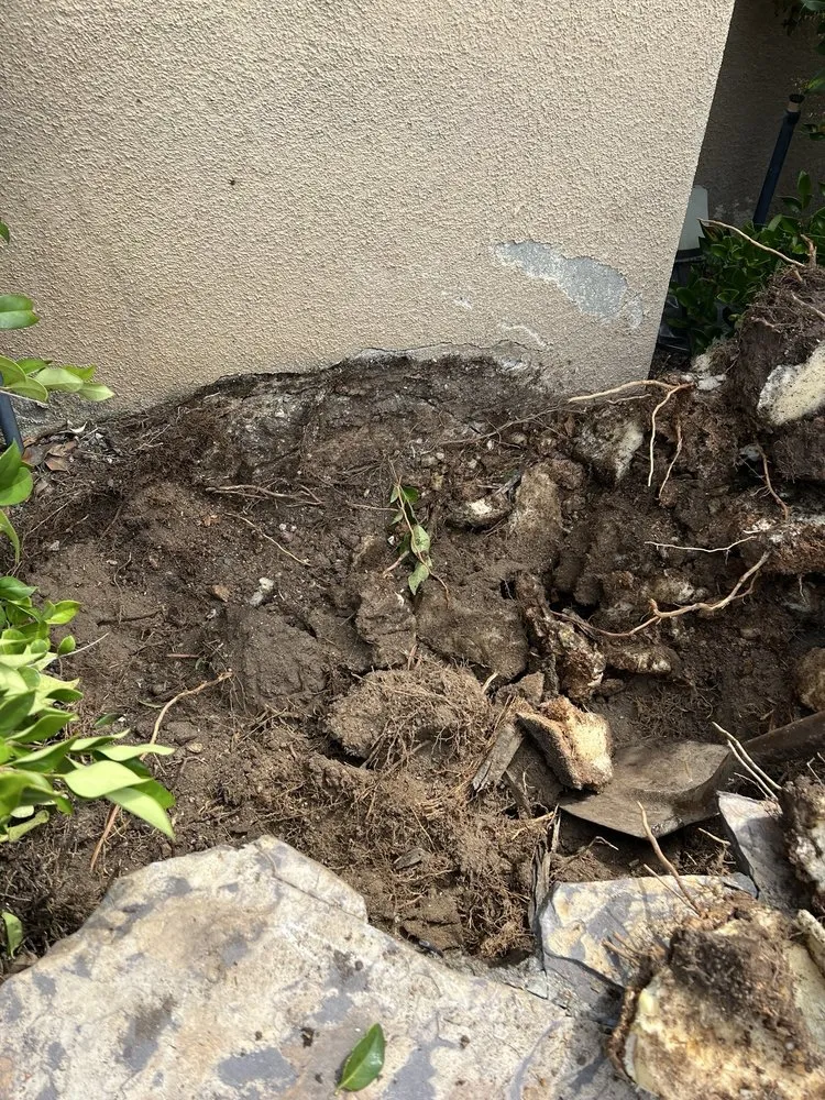 Trusted outdoor landscaping near you in Orange, CA by Mannys Landscape