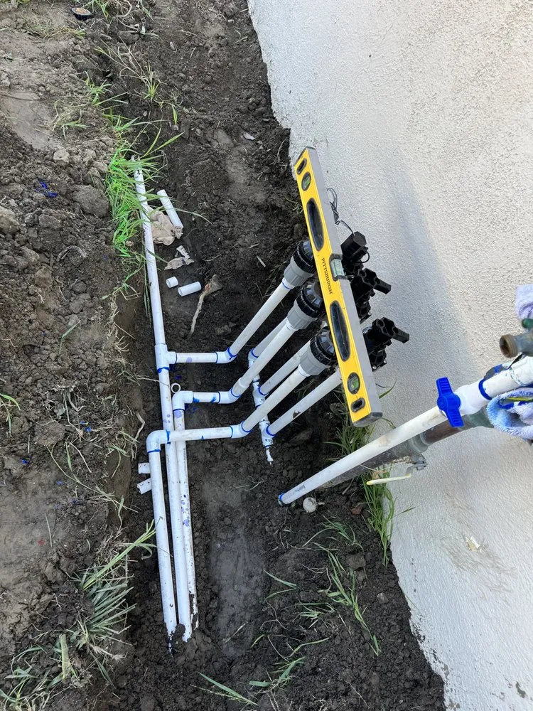 Expert yard cleanup service for homes across Orange, CA - Mannys Landscape