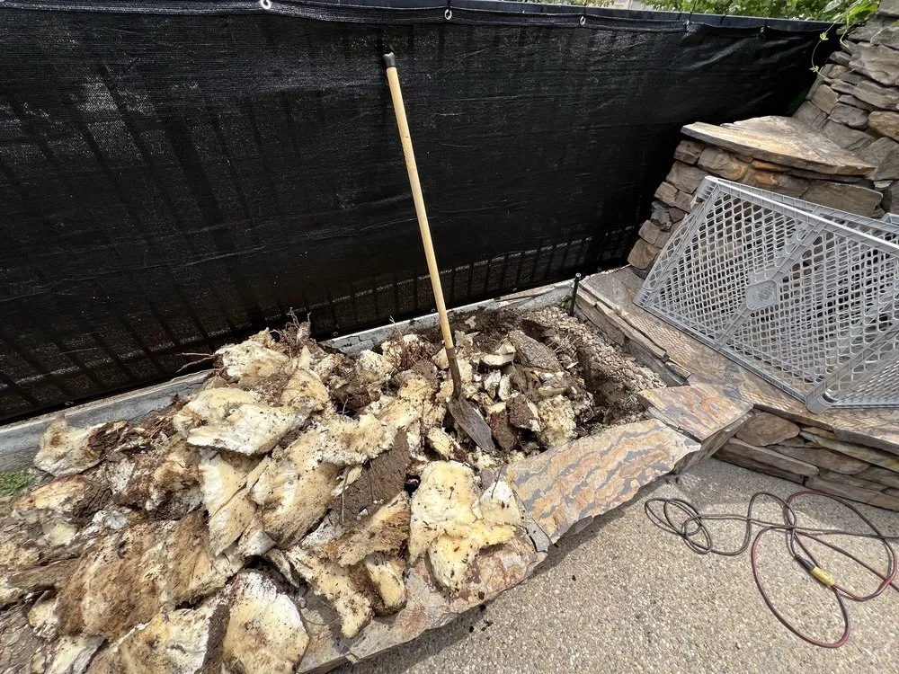 Professional yard cleanup service for year-round maintenance across Orange, CA - Mannys Landscape