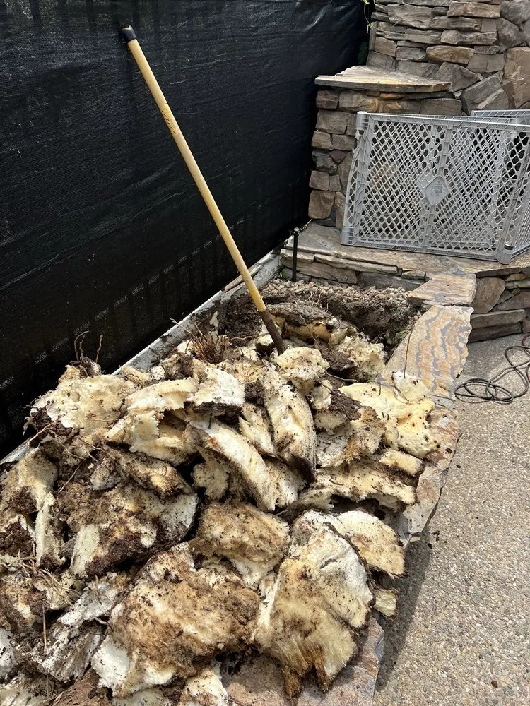 Custom landscaping services for residential properties across Orange, CA - Mannys Landscape