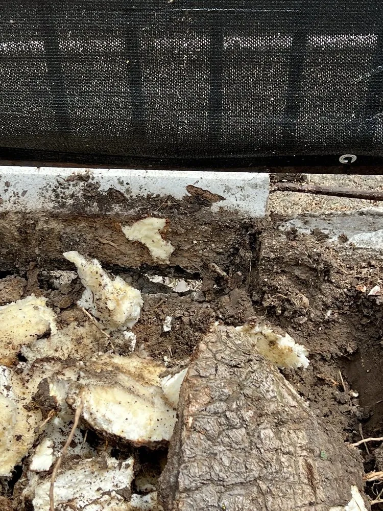 Custom landscape installation experts serving Orange, CA - Mannys Landscape