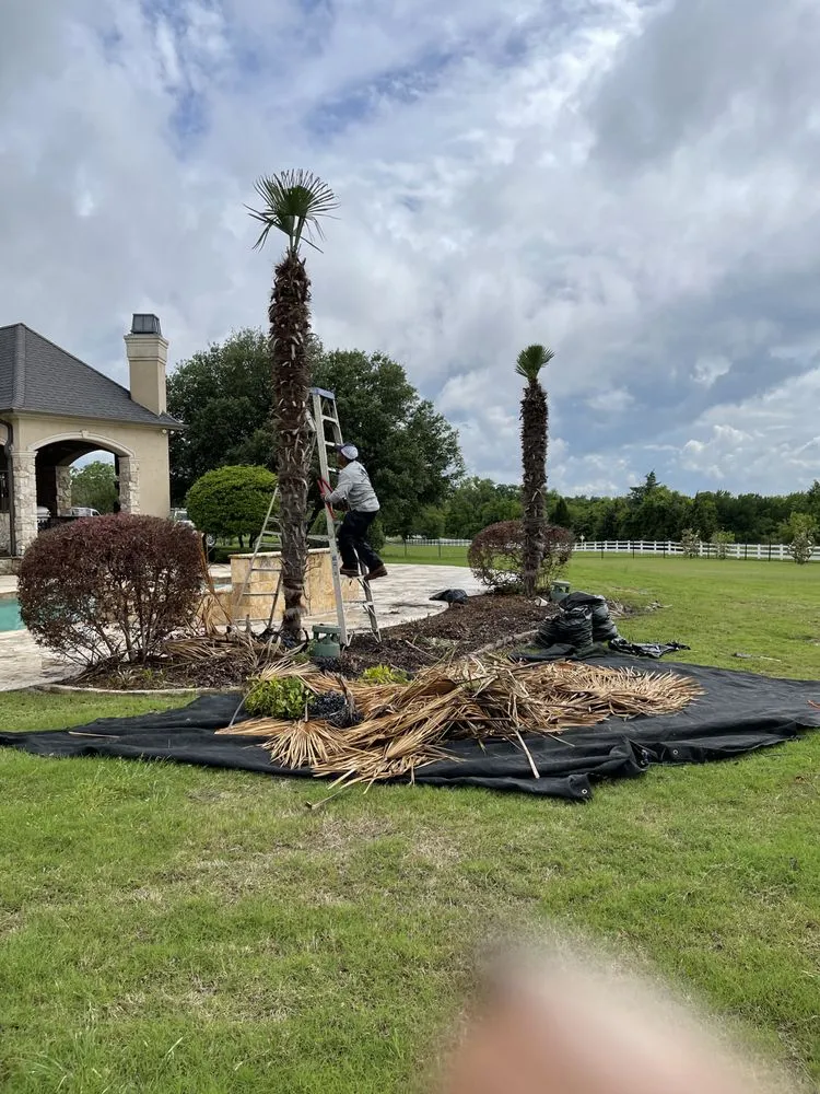 Expert landscaping services experts serving Rockwall, TX - Manny's Landscaping & Lawn Maintenance