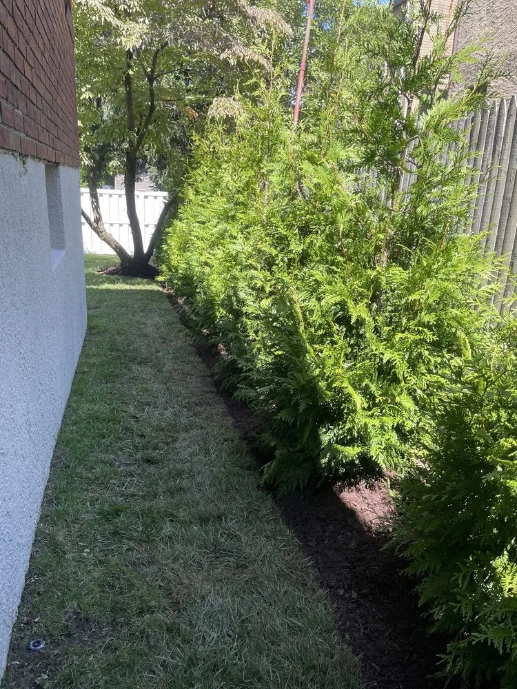 Affordable residential landscaping in Staten Island, NY - Manny's Landscaping & Masonry