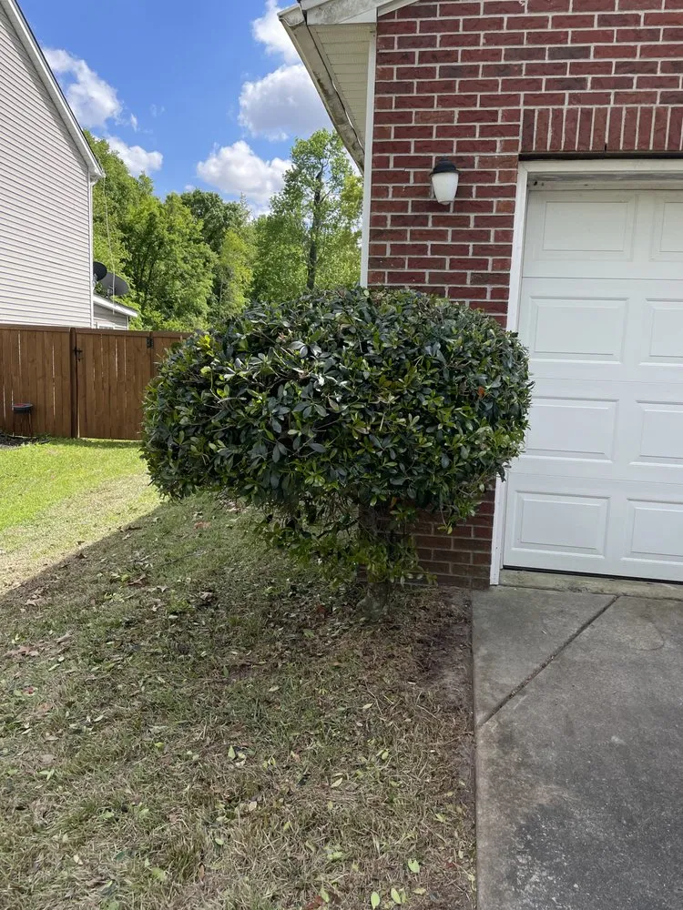 Professional yard cleanup service for outdoor upgrades across Ladson, SC - Manny’s Landscaping & More