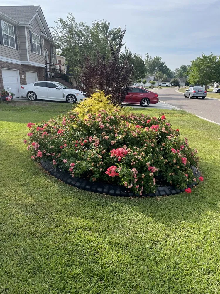 Professional outdoor landscaping with custom design in Ladson, SC by Manny’s Landscaping & More