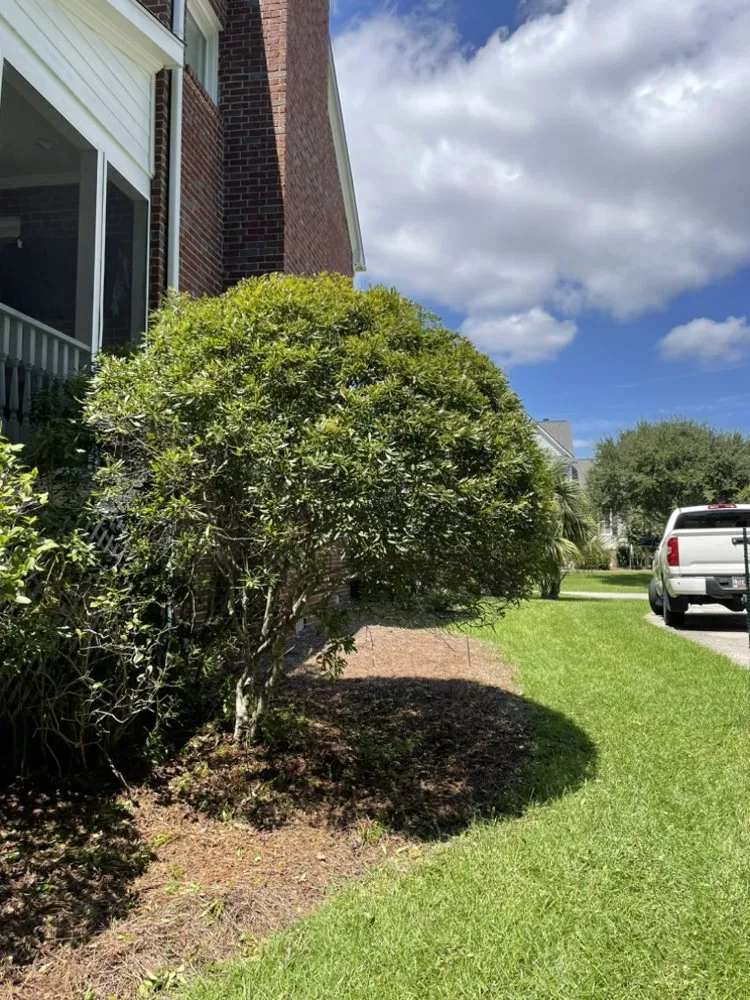 Custom outdoor landscaping experts serving Ladson, SC - Manny’s Landscaping & More