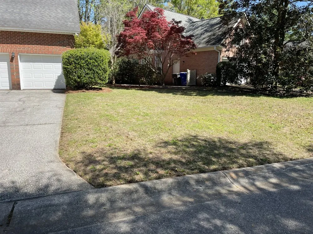 Affordable yard maintenance in Ladson, SC by Manny’s Landscaping & More